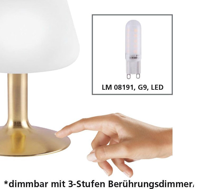Paul Neuhaus LED Tischleuchte »Till« G9 1 Stk. Warmweiß 3-Stufen Touchdimmer