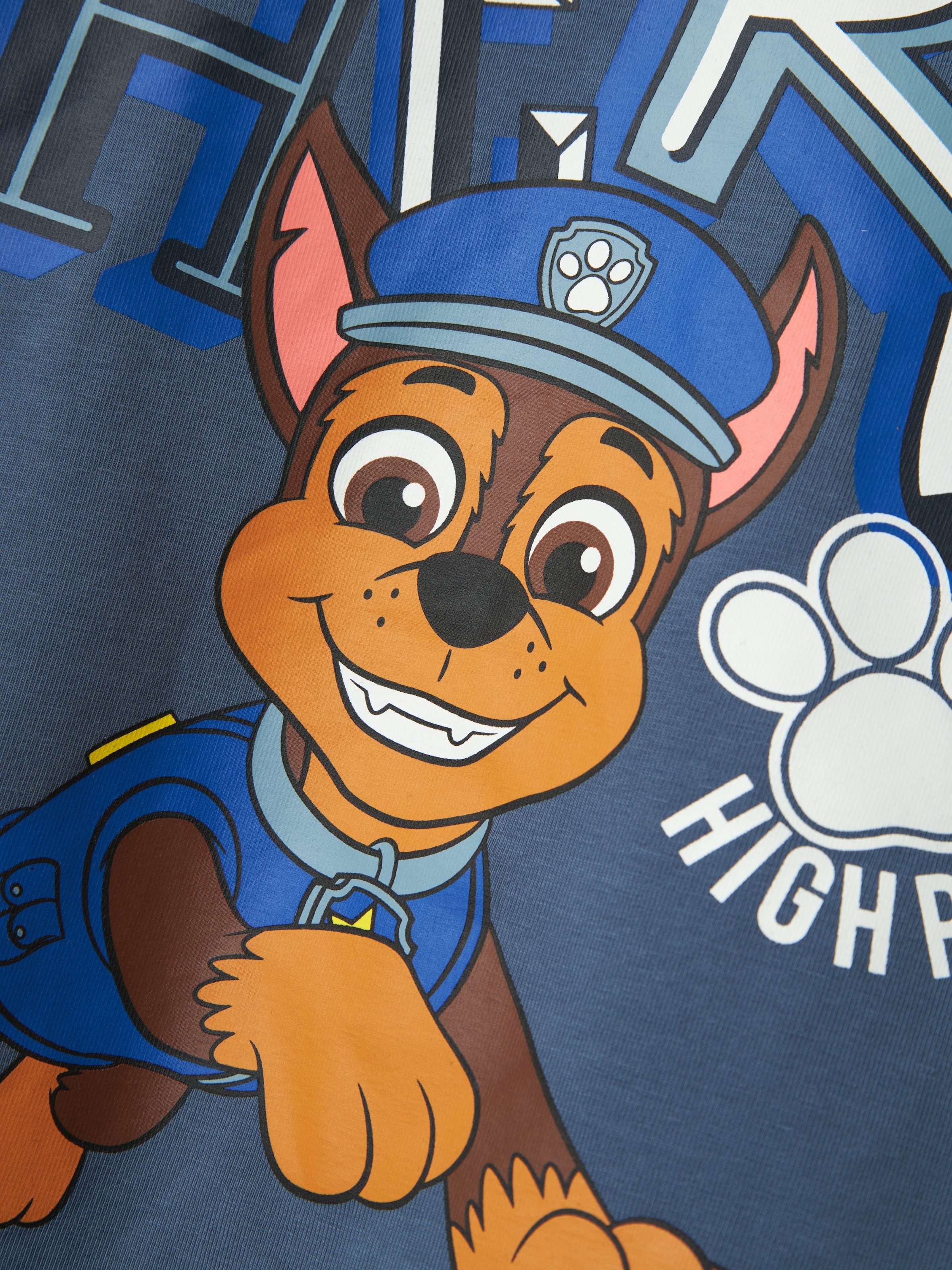 Name It Langarmshirt »NMMJAHAV PAWPATROL NREG LS TOP NOOS CPLG«
