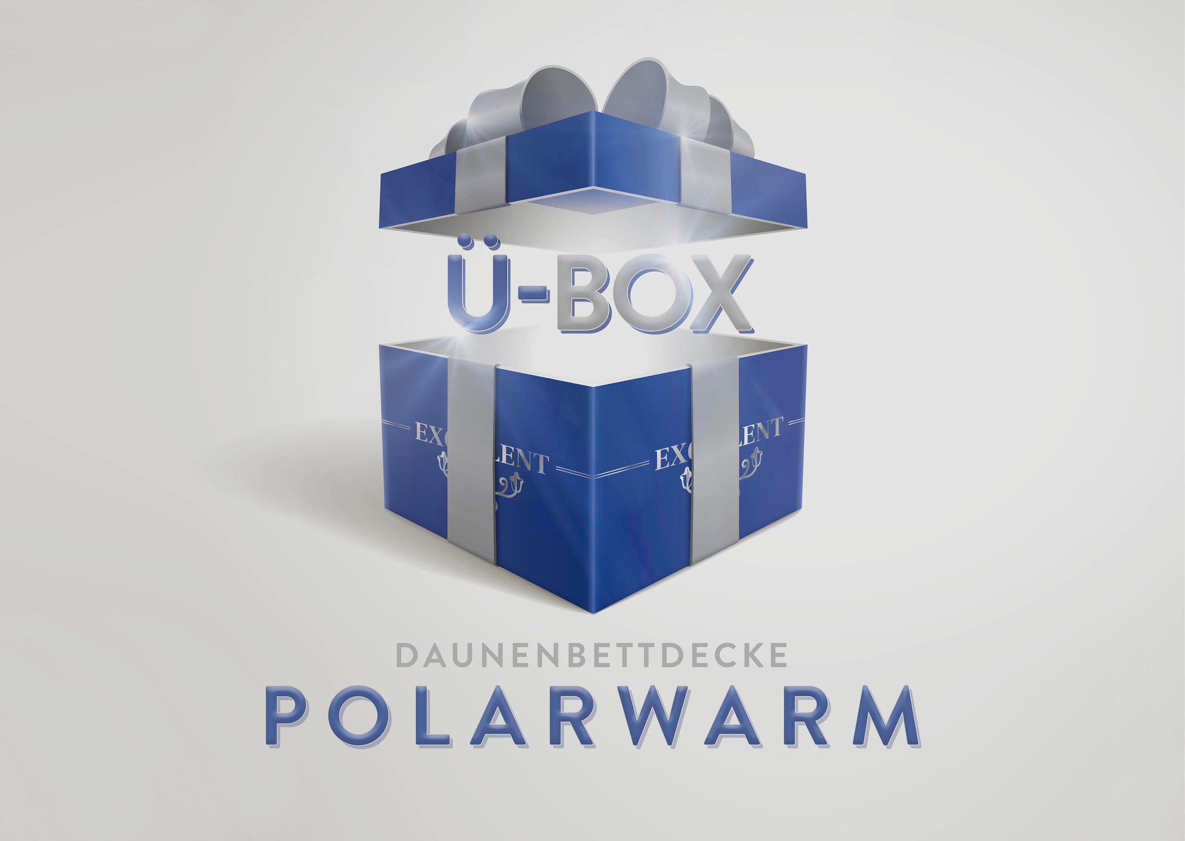 Excellent Daunenbettdecke »Überraschungsbox«, polarwarm, Füllung 90% Daunen, 10% Federn, Bezug Baumwolle, (1 St.), absoluter Sonderpreis, wegen Lagerräumung, Solange der Vorrat reicht