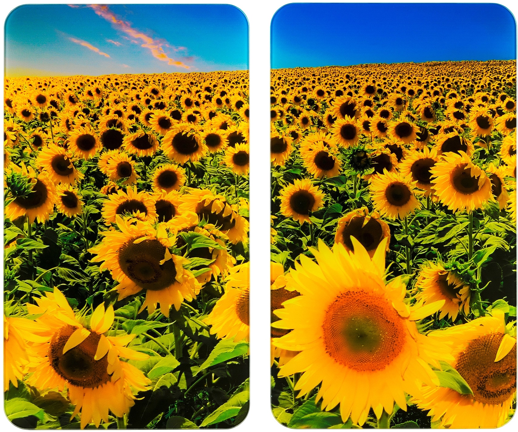 WENKO Herd-Abdeckplatte »Universal Sonnenblumenfeld«, (Set, 2 tlg.) kaufen