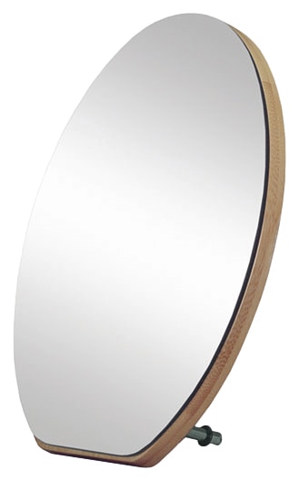 Badspiegel »Clever Mirror«