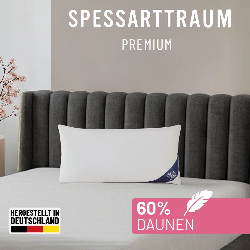 SPESSARTTRAUM Gänsedaunenkopfkissen "Premium, Kopfkissen 1-tlg. oder 2-tlg. 40x80 oder 80x80 cm" Füllung: 60Gaensedaunen40Gaensefedern 1 Stk. tlg. hergestellt in Deutschland, allergikerfreundlich, im Set günstiger