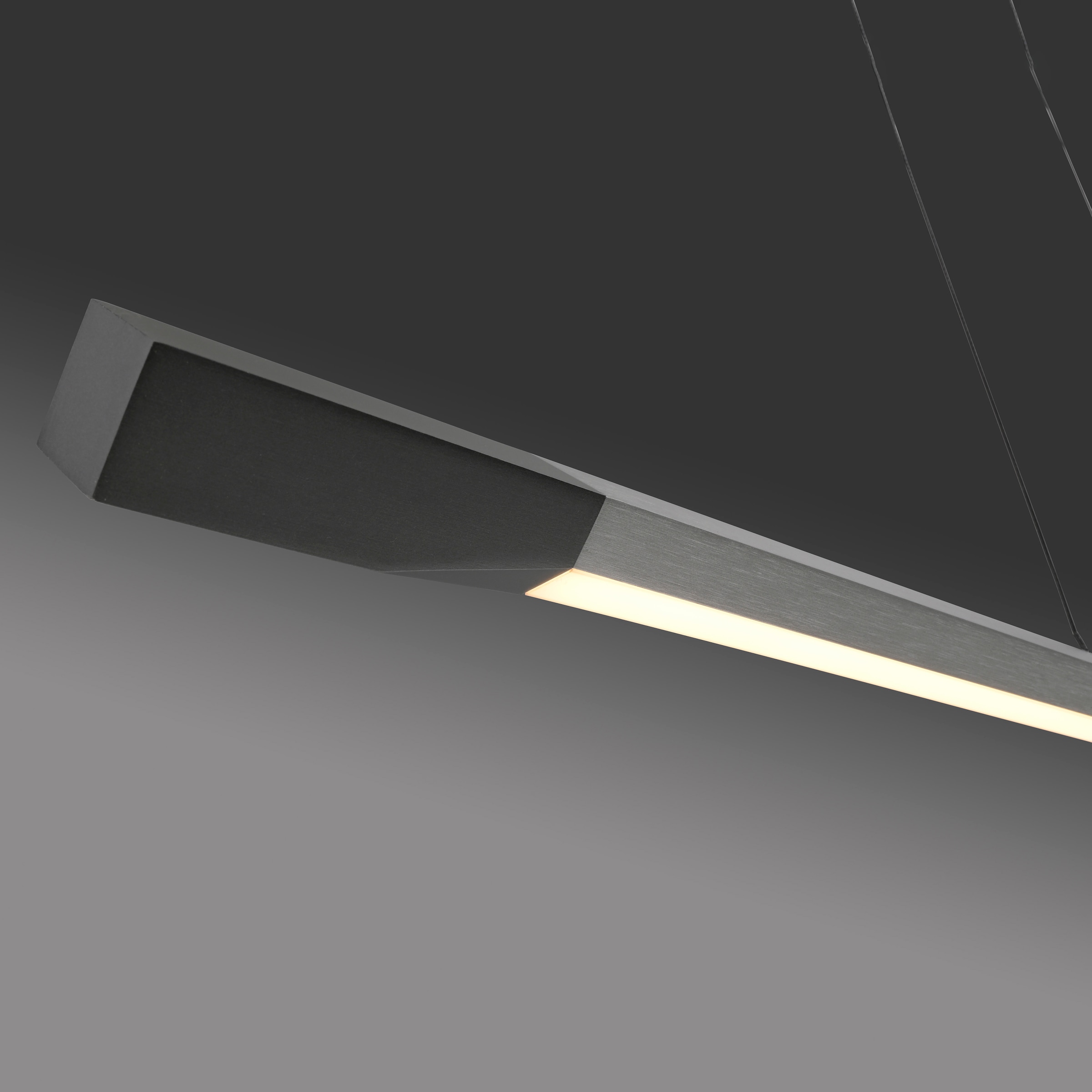 Paul Neuhaus Pendelleuchte »HOOP«, 1 flammig, Leuchtmittel LED-Board | LED fest integriert, LED, dimmbar, Simply Dim, Memory, nach Trennung vom Netz, Comfort Lift