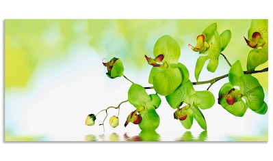 Artland Wanduhr »Schöne Orchidee mit grünem Hintergrund«, wahlweise mit  Quarz- oder Funkuhrwerk, lautlos ohne Tickgeräusche bequem kaufen | Wanduhren