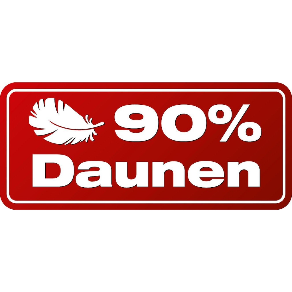 Haeussling Einziehdecke »Swiss Royal«, leicht, Füllung weiße neue Daunen und Federn, Klasse I, (90% Daunen, 10% Federn), Bezug feine Einschütte, 100% Baumwolle, (1 St.)