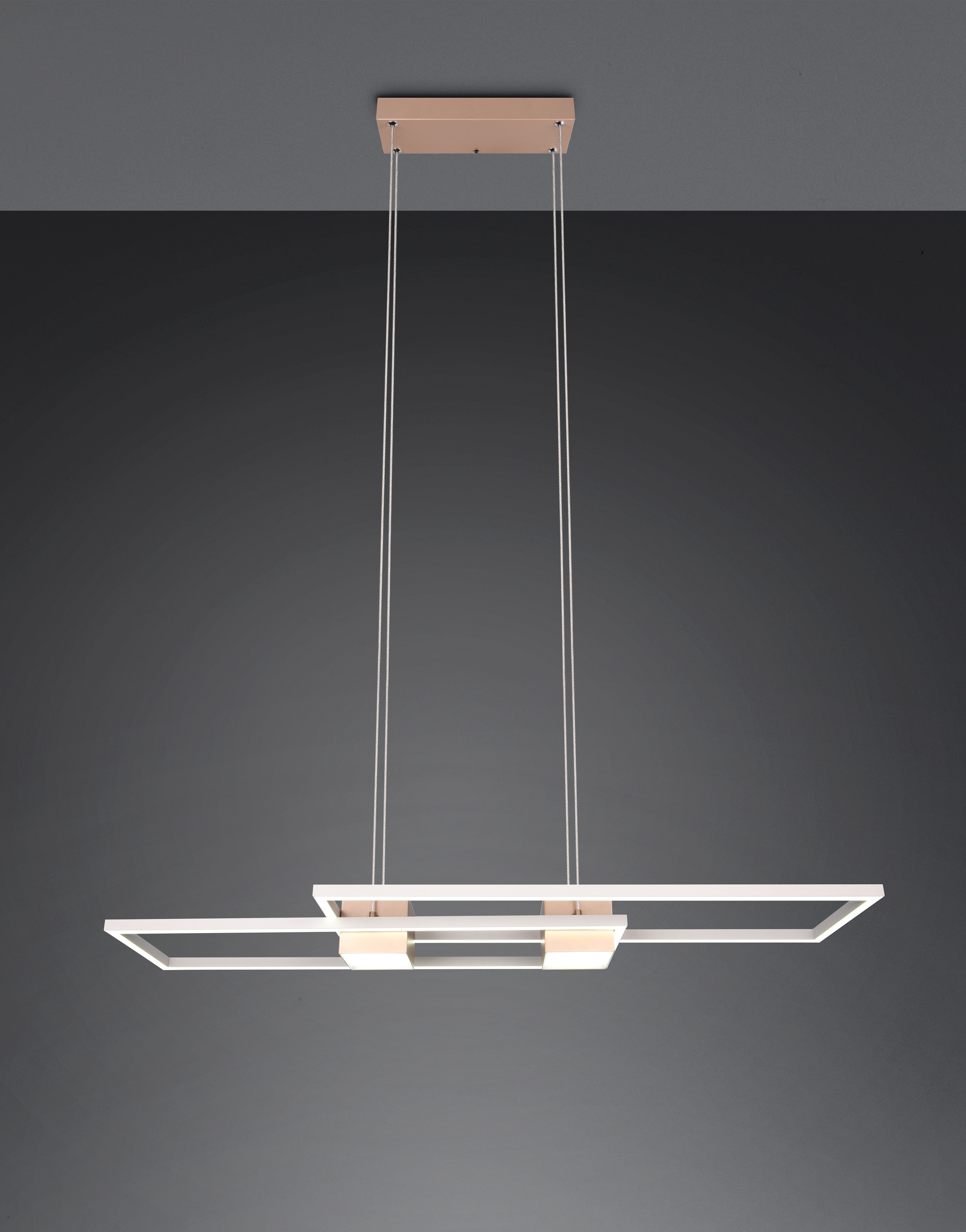 TRIO Leuchten LED Pendelleuchte »ALBANY, LED Hängelampe Wohnzimmer mit Fernbedienung, dimmbar, CCT« LED-Board 1 Stk. warmweiß - kaltweiß Lichtfarbe einstellbar, Memoryfunktion, Nachtlicht, up-and-down Licht