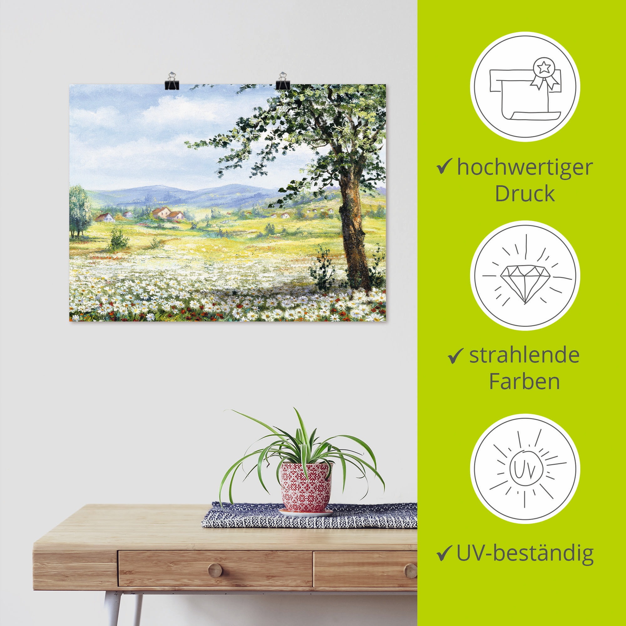 Artland Wandbild »Margeritenfeld« Wiesen & Bäume 1 Stk. tlg. als Poster, Wandaufkleber in verschied. Größen