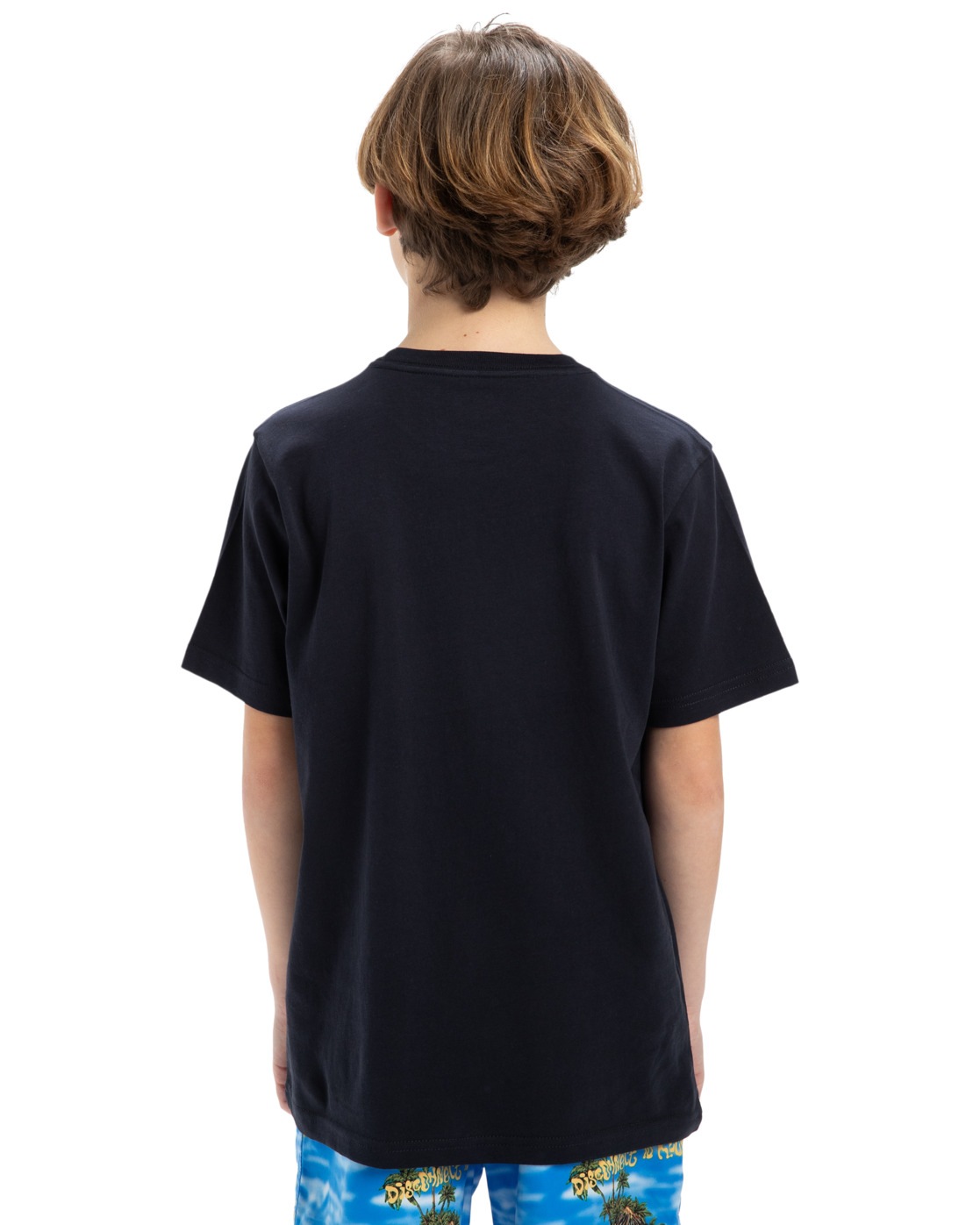Quiksilver T-Shirt »Ev Typed Out«