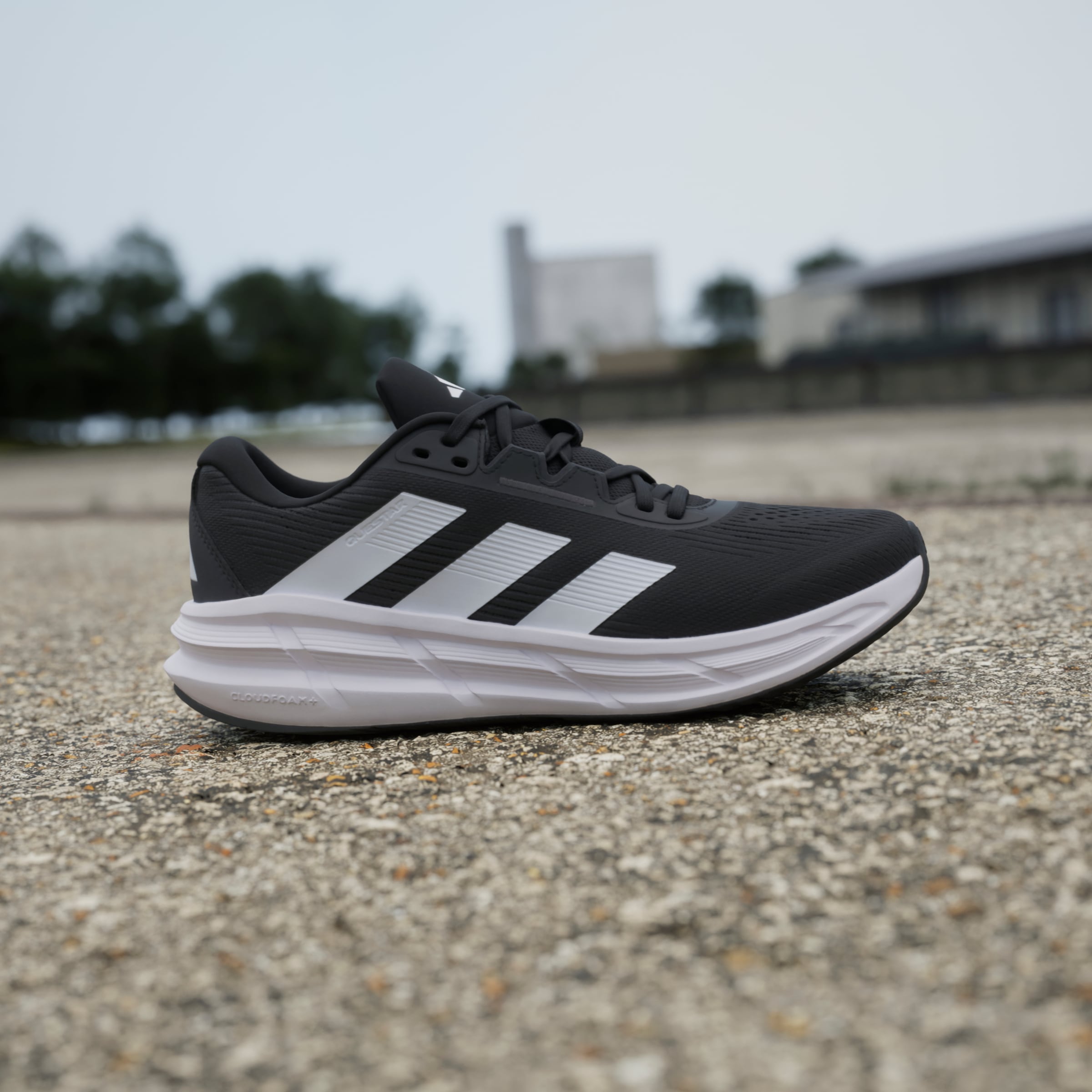 adidas Performance Laufschuh »QUESTAR 3«