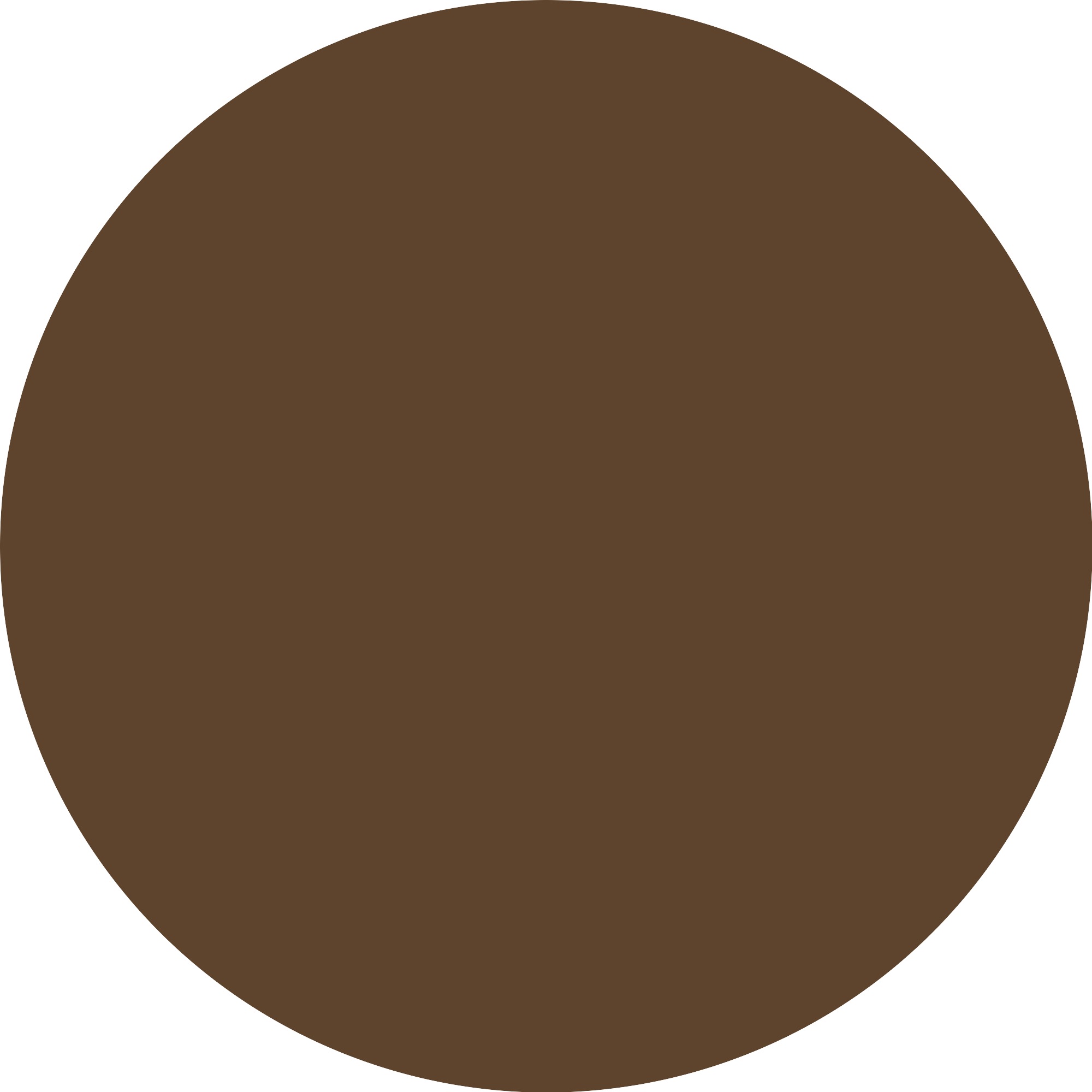 Essence Foundation »SKIN tint« mit veganen Inhaltsstoffen