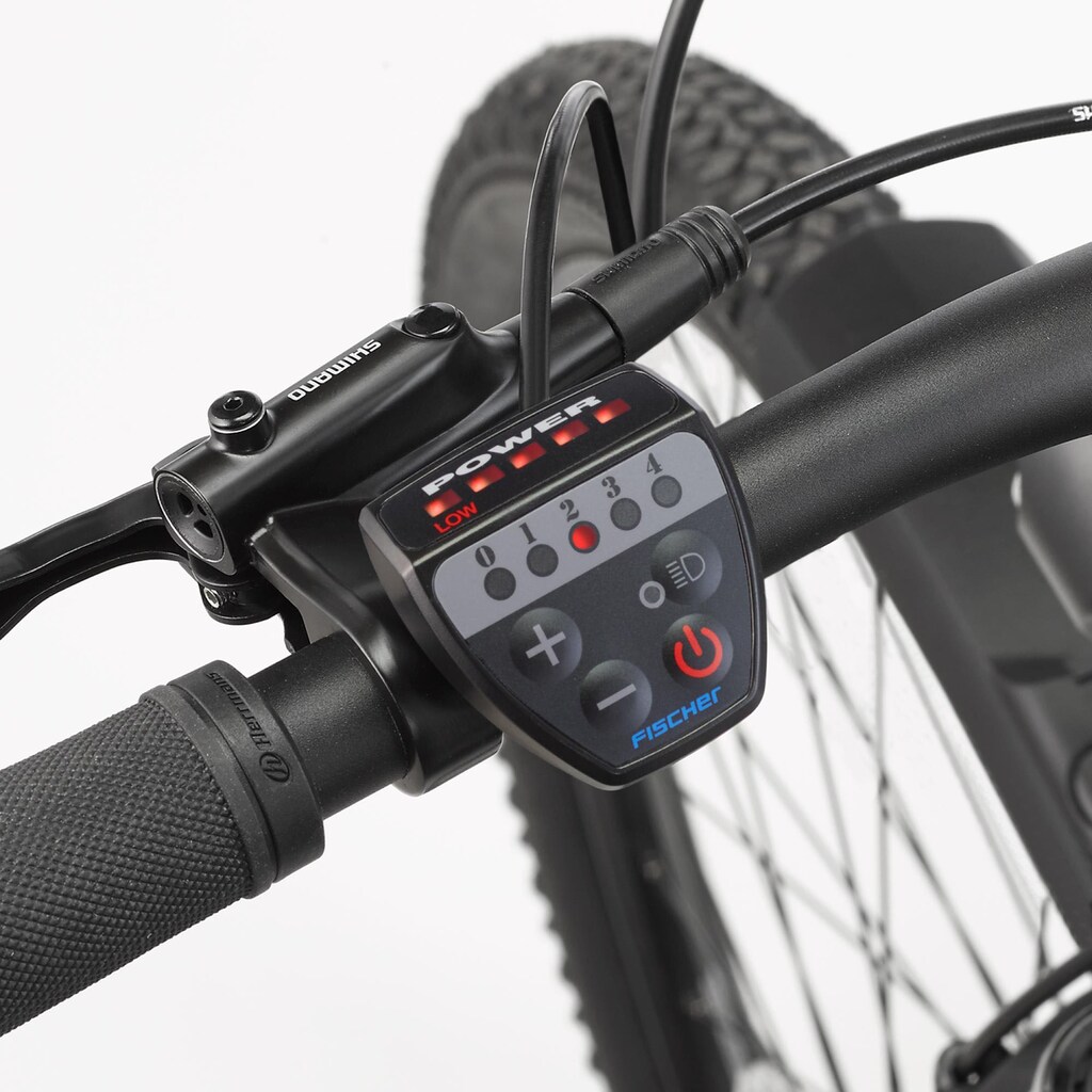 FISCHER Fahrrad E-Bike »TERRA 2.1 422«, 8 Gang, (mit Akku-Ladegerät-mit Werkzeug)