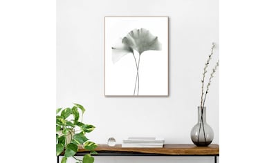 Reinders! Bild mit Rahmen »Eukalyptus blatt Pflanze«, Blätter, (2 St.),  Ginko - Naturmotiv - Botanisch auf Raten bestellen