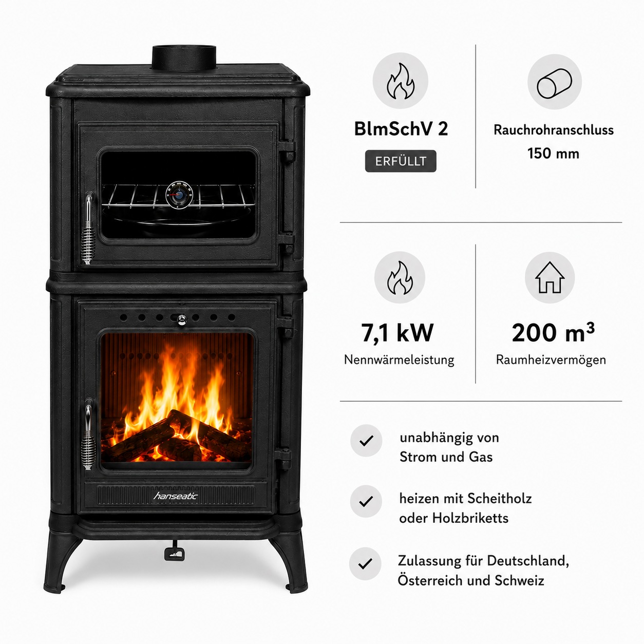 Hanseatic Kaminofen »Castor 81« Großer Feuerraum