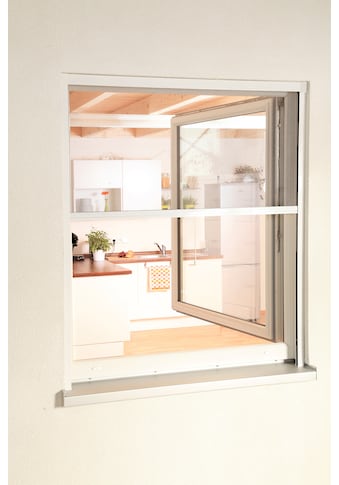 Insektenschutzrollo »SMART«, transparent, für Fenster, weiß/anthrazit, BxH: 160x160 cm