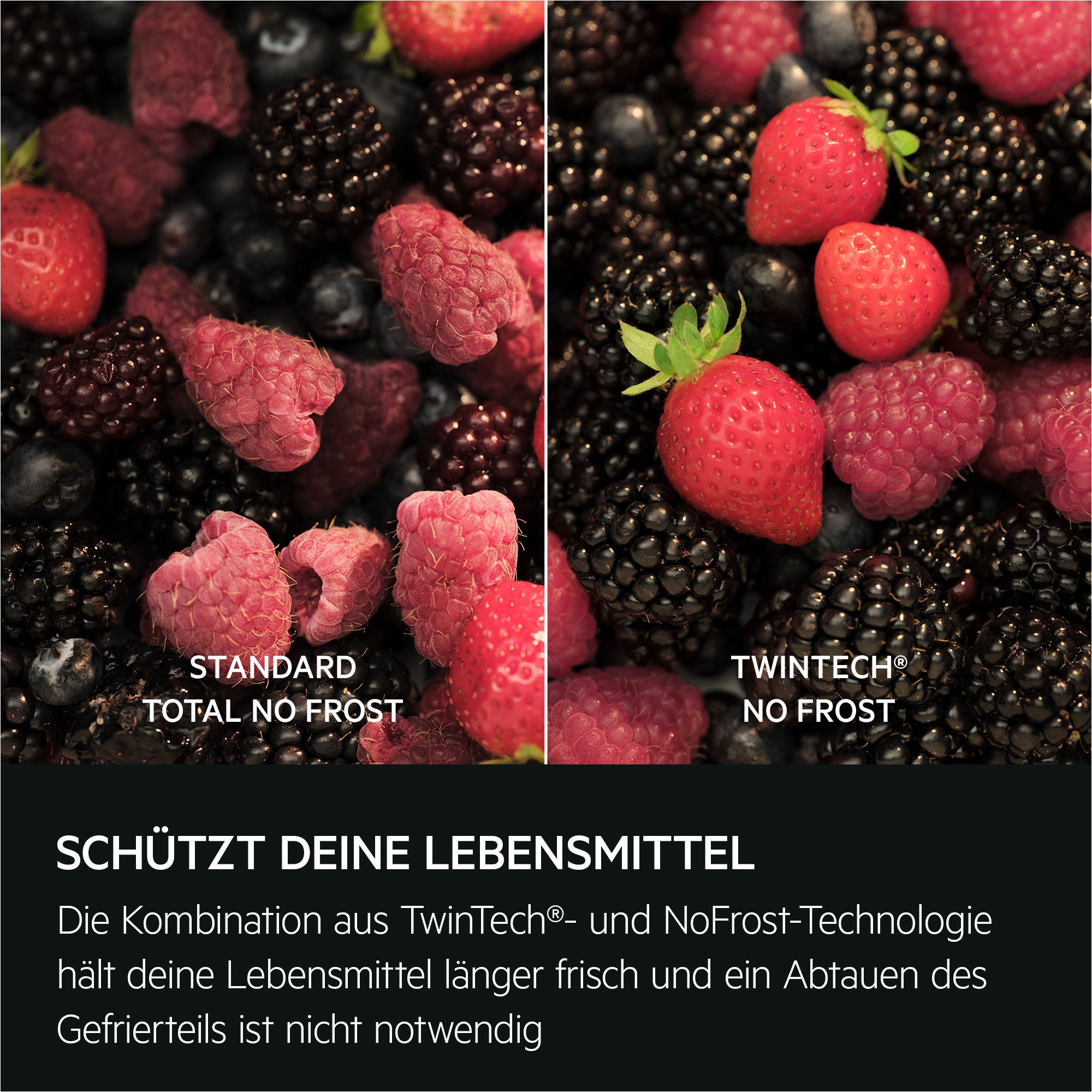 AEG Einbaukühlgefrierkombination Serie 8000 »TSC8M18WCC« 177 cm hoch 55,7 cm breit 360°Cooling-optimale Luftfeuchtigkeit & Zirkulation, NoFrost, Festtür