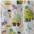 bunt