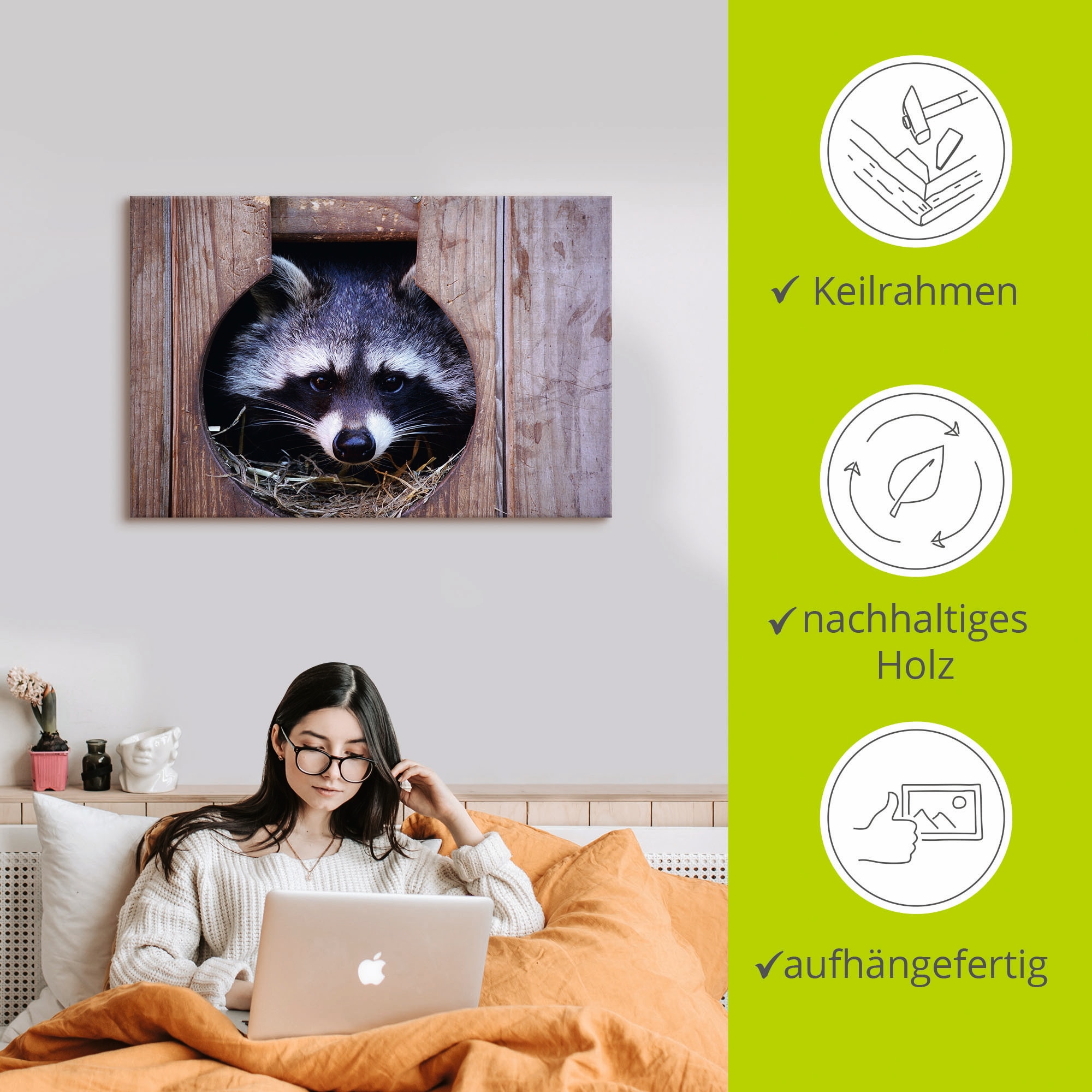 Artland Wandbild »Niedlicher kleiner Waschbär«, Wildtiere, (1 St.), als Leinwandbild, Wandaufkleber in verschied. Größen