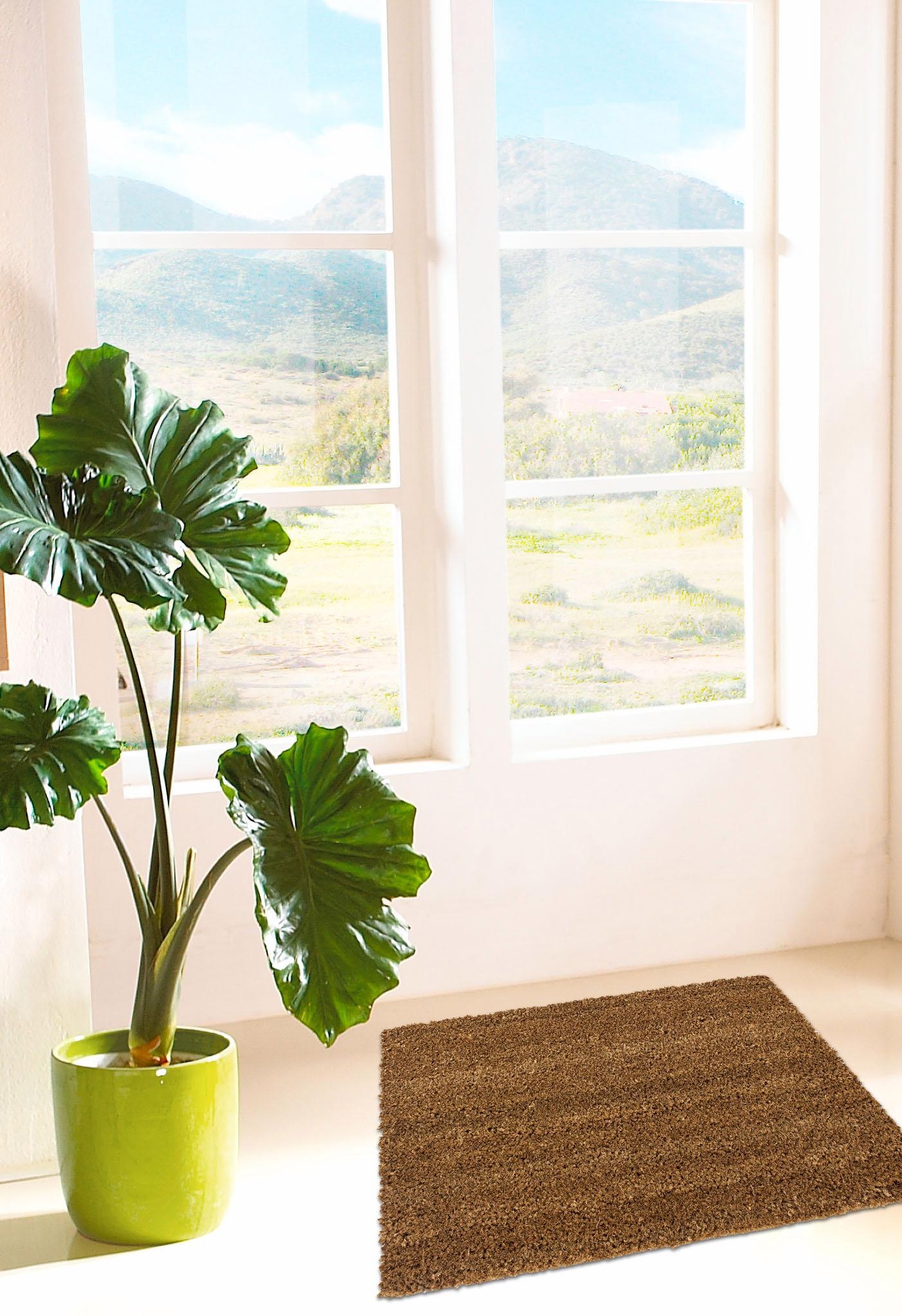 Andiamo Fußmatte »Kokos uni« rechteckig 15 mm Höhe Schmutzfangmatte, In- und Outdoor geeignet