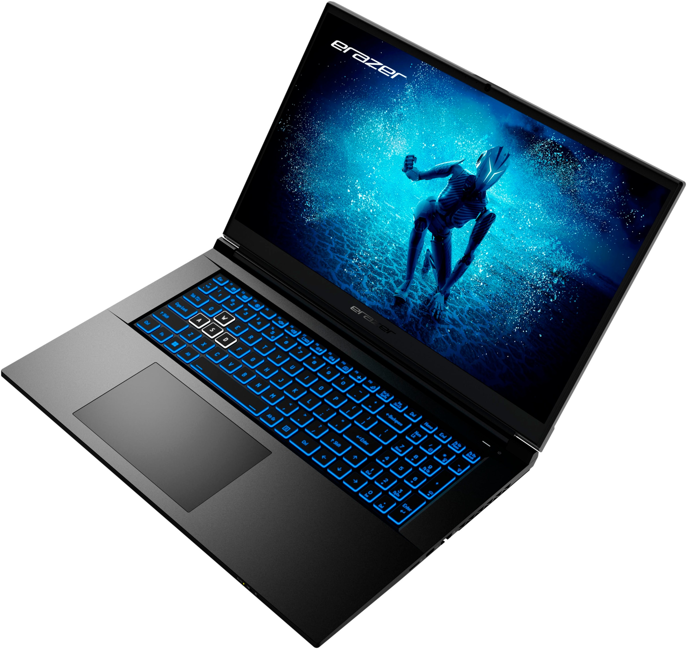 Medion® Gaming-Notebook »ERAZER DEFENDER P50 32GB RAM«, 43,9 cm, / 17,3 Zoll, Intel, Core i7, GeForce RTX 4060, 2000 GB SSD