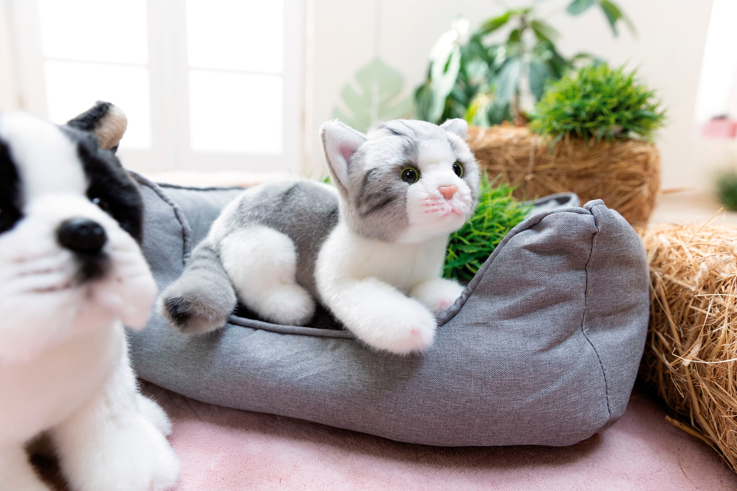 Nici Kuscheltier »Lifelike, Katze, 20 cm« enthält recyceltes Material (Global Recycled Standard)