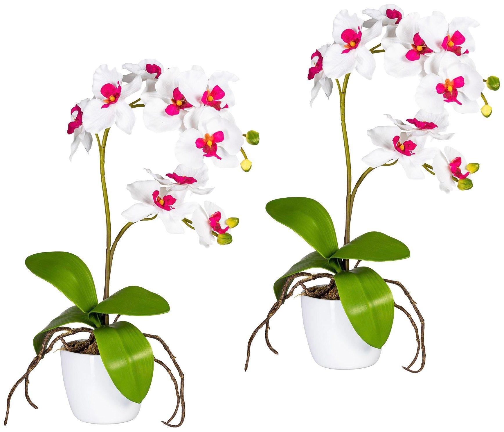 Kunstpflanze »Orchidee Phalaenopsis«, im Keramiktopf