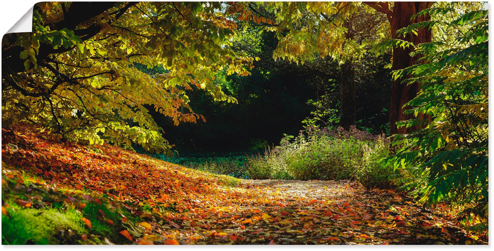 Artland Poster »Herbstteppich«, Wald, (1 St.), als Leinwandbild, Wandaufkleber oder Poster in versch. Größen