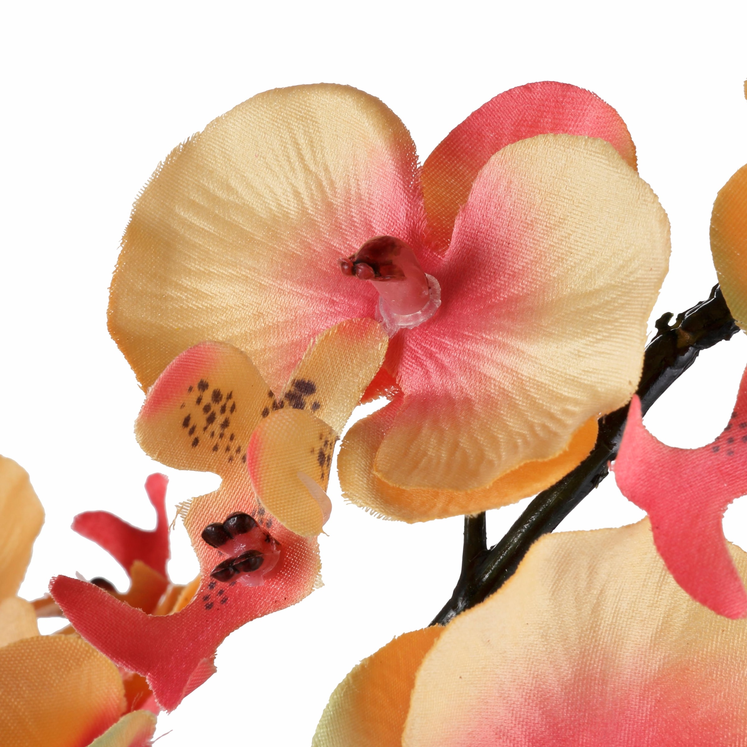 I.GE.A. Kunstpflanze 3 | kaufen mit Garantie »Orchidee« XXL Jahren online