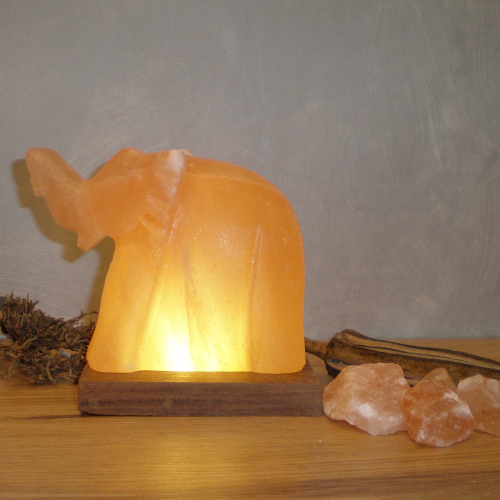 HIMALAYA SALT DREAMS Salzkristall-Tischlampe »Elefant«, Leuchtmittel LED-Modul | LED wechselbar, Handgefertigt aus Salzkristall - jeder Stein ein Unikat, H: ca.11 cm