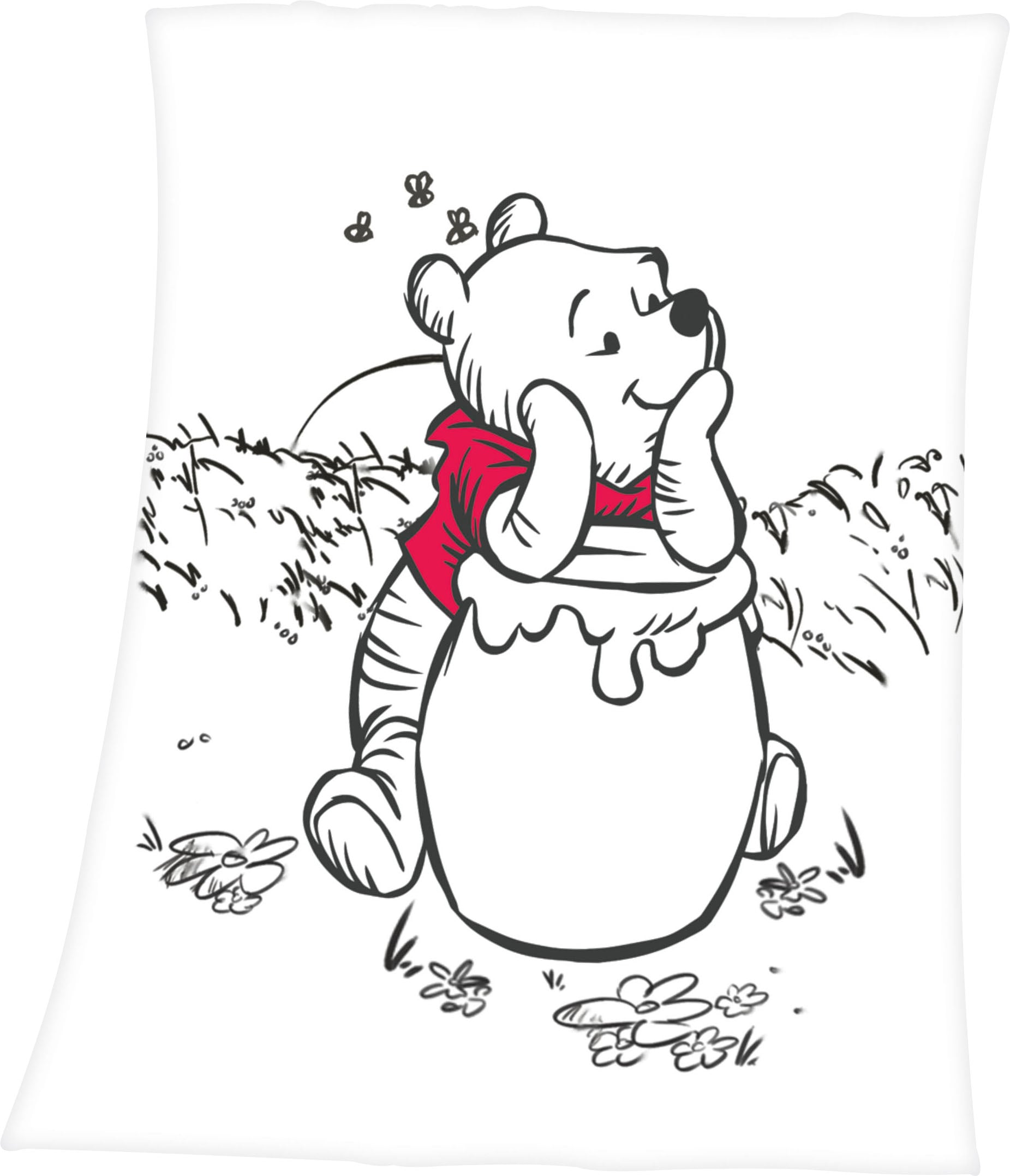 Disney Kuscheldecke mit liebevollem »Winnie Winnie Pooh Pooh«, Motiv, Babydecke