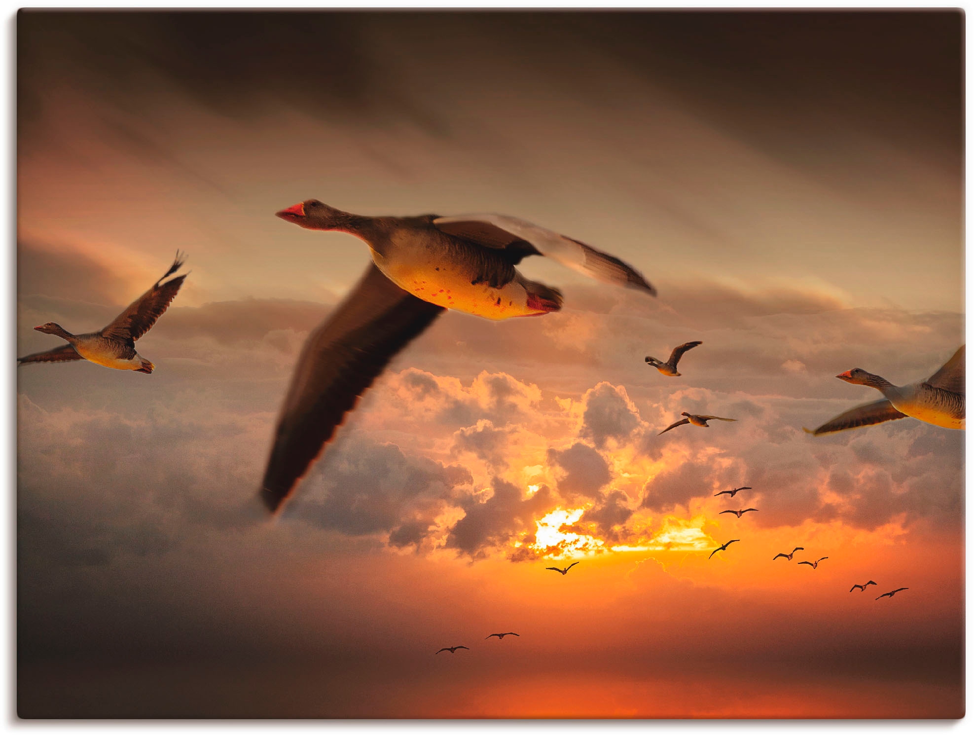 Artland Wandbild »Der Flug der Wildgänse...«, Vögel, (1 St.), als Leinwandbild, Wandaufkleber in verschied. Größen