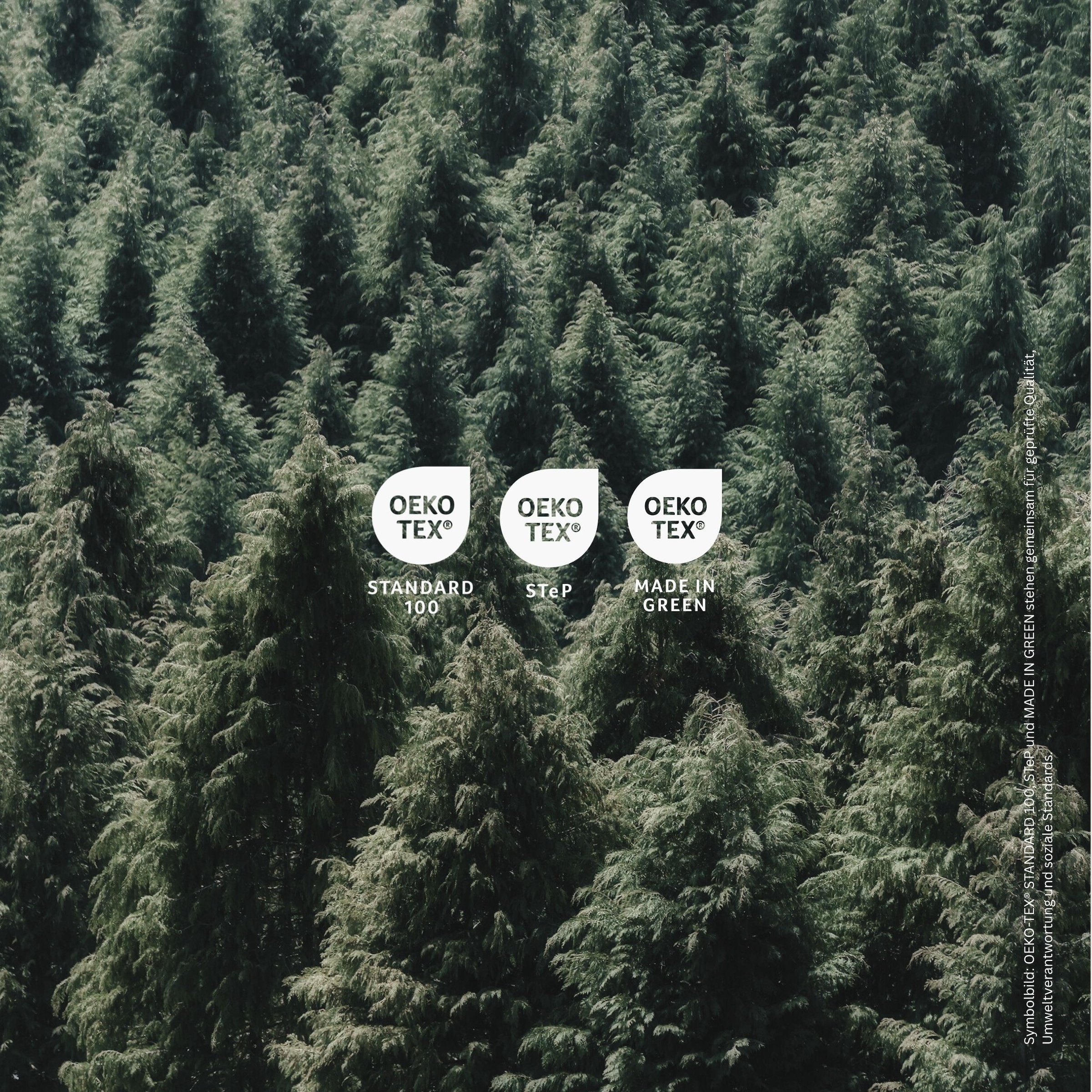 uncover by SCHIESSER Spannbettlaken »New Jersey aus 100% Baumwolle« OEKO-TEX® MADE IN GREEN