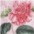 multi/sand/natur/rosa