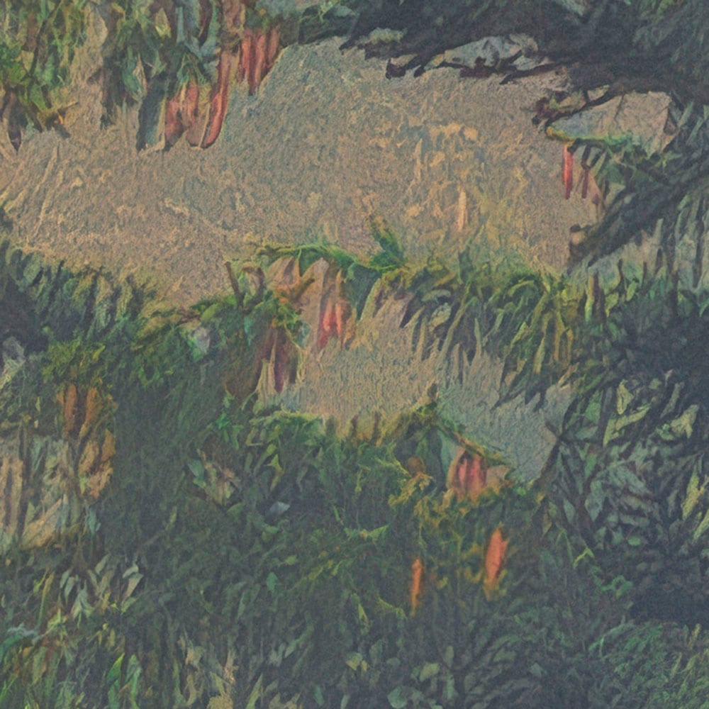 Komar Fototapete »Vlies Fototapete - Mystical Firs - Größe 400 x 250 cm« Motiv | bedruckt glatt