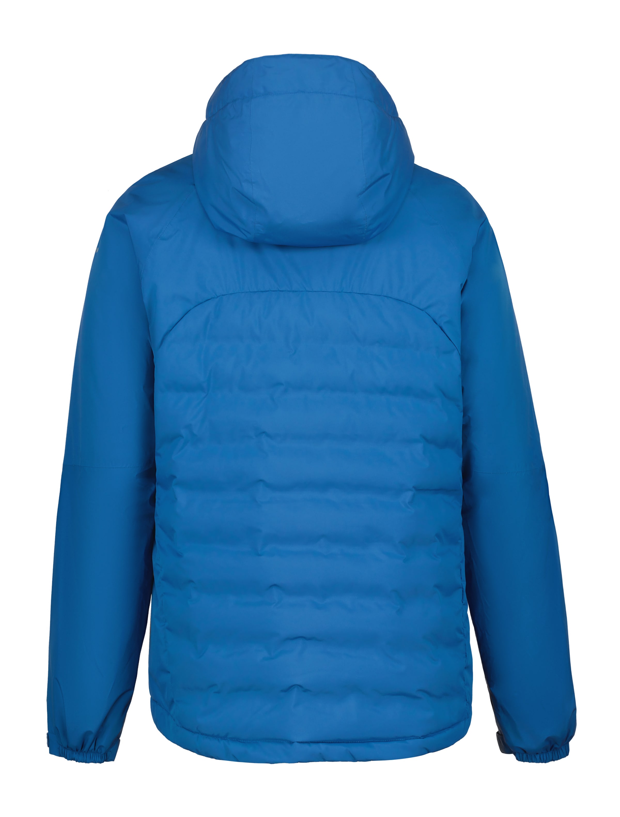 Icepeak Steppjacke »H STEPPJACKE BARWICK«