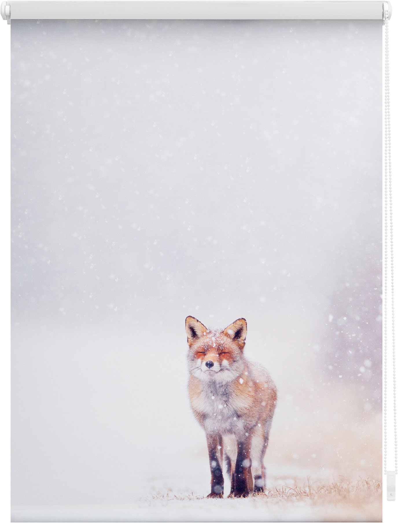 LICHTBLICK ORIGINAL Seitenzugrollo »Klemmfix Motiv Fuchs im Schnee«, Lichtschutz, ohne Bohren, freihängend, bedruckt