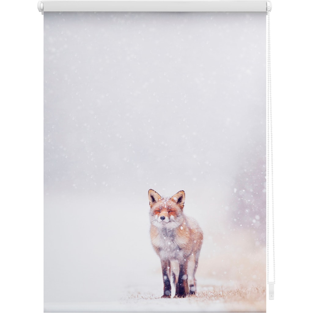 LICHTBLICK ORIGINAL Seitenzugrollo »Klemmfix Motiv Fuchs im Schnee«, Lichtschutz, ohne Bohren, freihängend, bedruckt