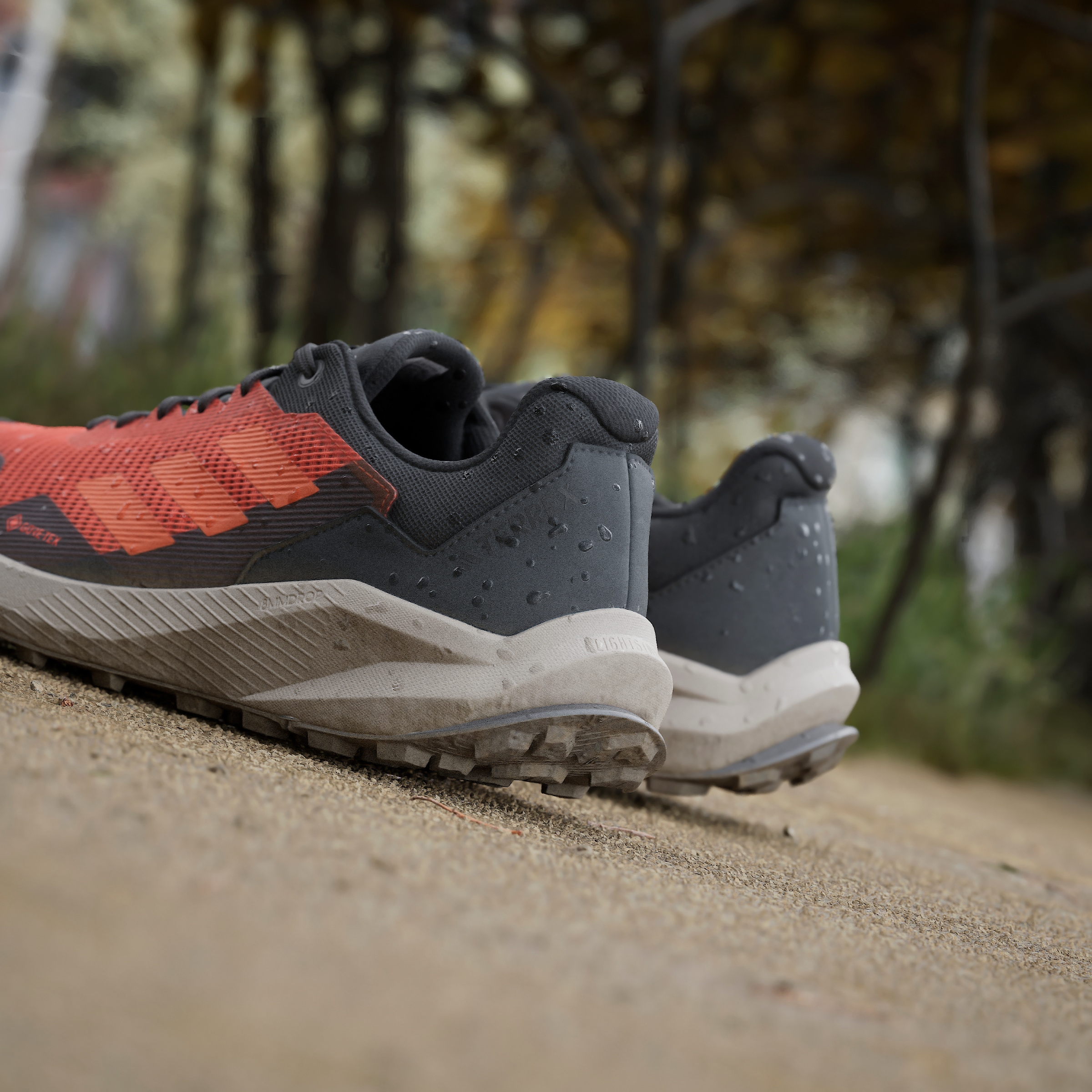 adidas TERREX Laufschuh »TRAIL RIDER GORE-TEX TRAILRUNNING«, wasserdicht