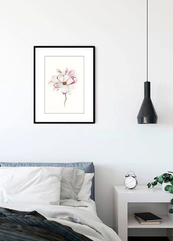 Komar Bild »Magnolia Blossom« Blumen 1 Stk. tlg. Wandbild zur Dekoration - ohne Rahmen