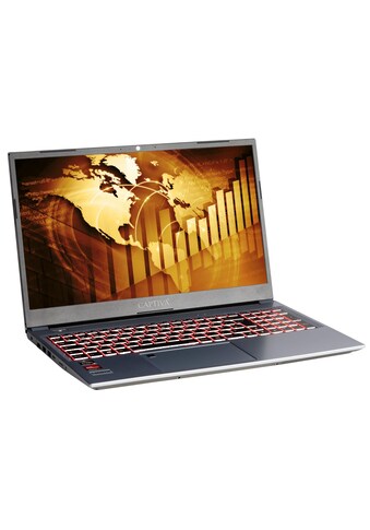CAPTIVA Business-Notebook »Power Starter R66-730«, (/15,6 Zoll), AMD, Ryzen 5 kaufen