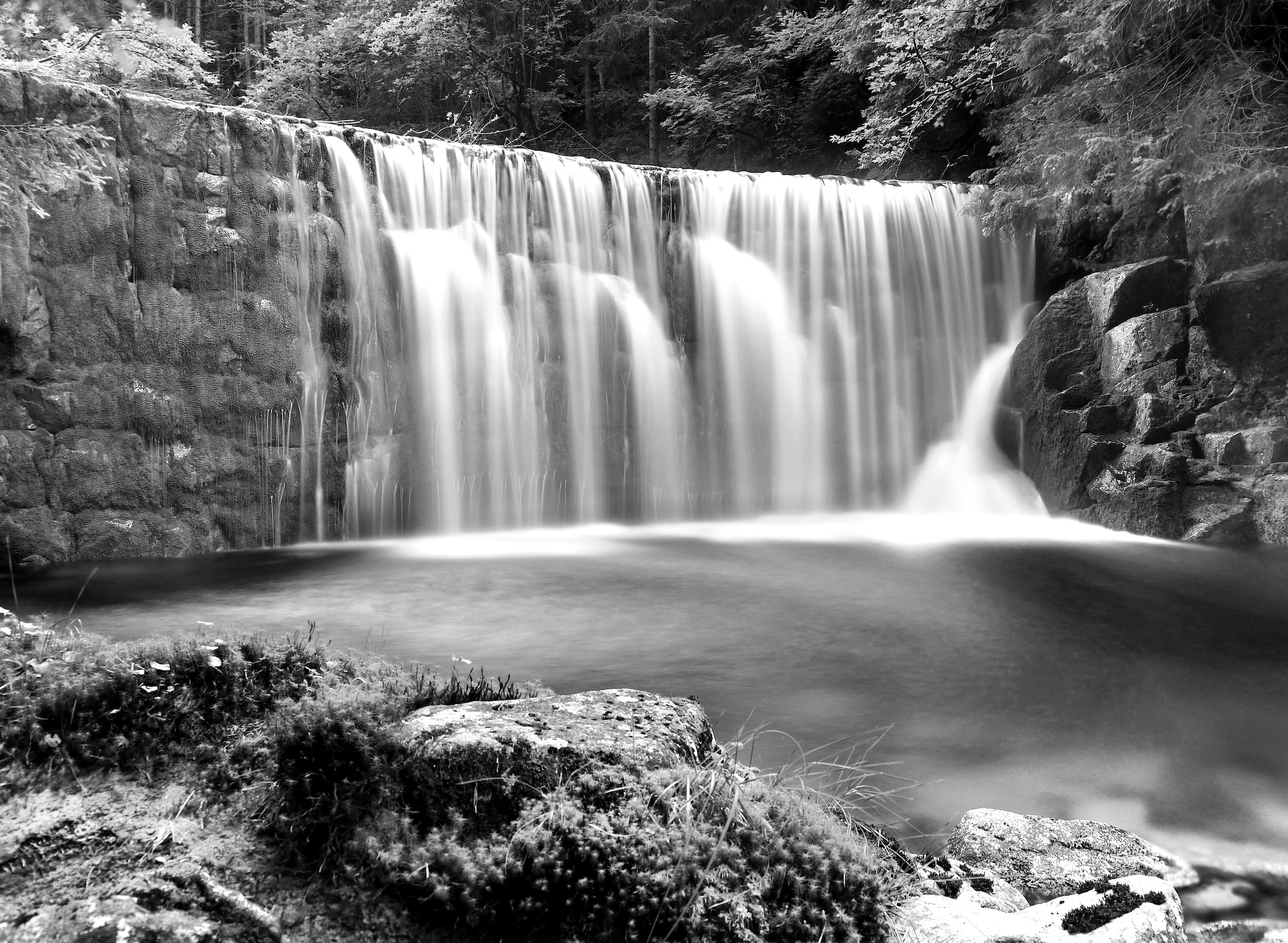 Papermoon Fototapete "Wasserfall im Wald Schwarz & Weiß"
