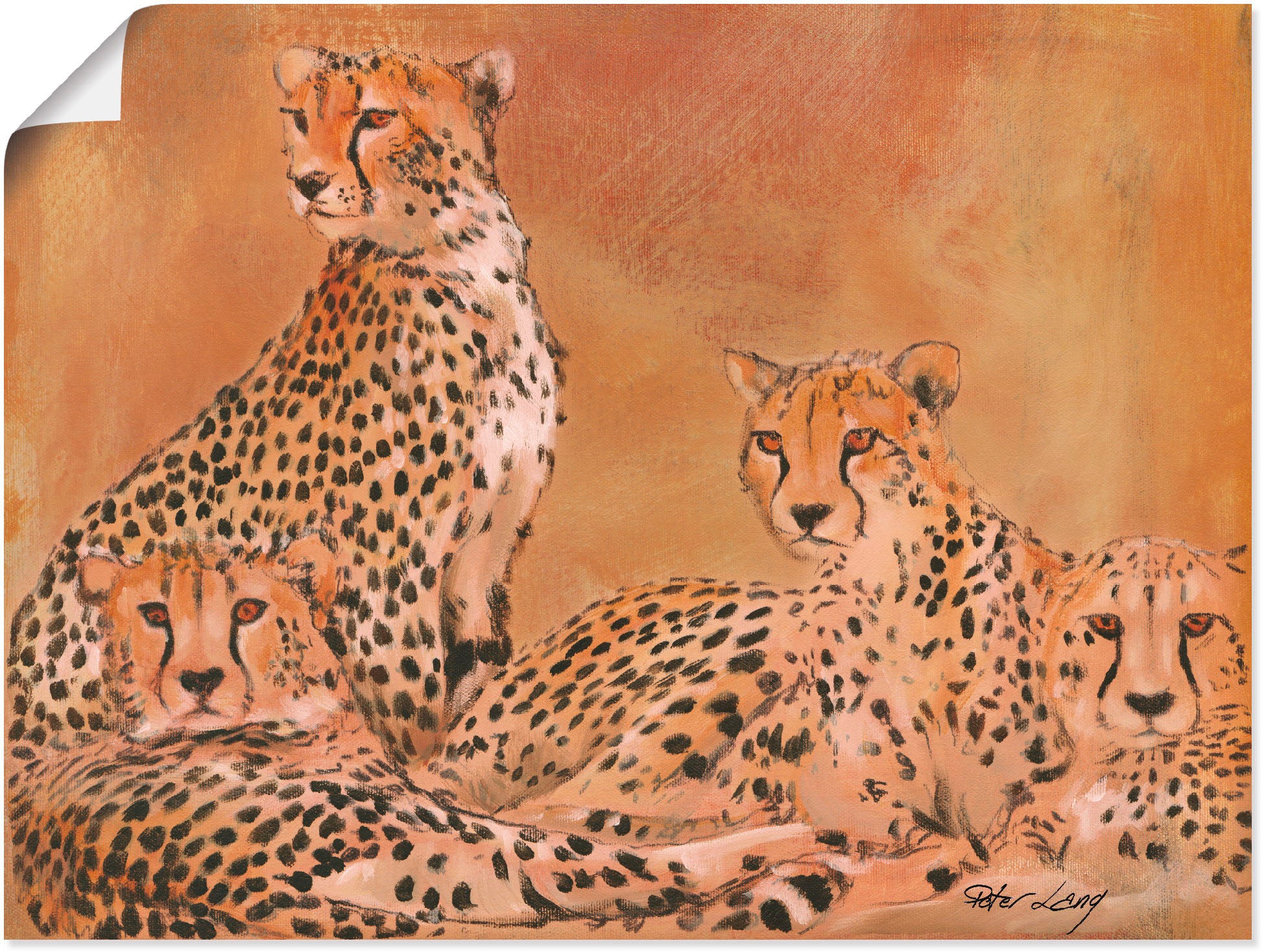 Artland Wandbild »Geparden«, Wildtiere, (1 Poster St.), Alubild, versch. bequem Größen oder als Leinwandbild, in Wandaufkleber kaufen