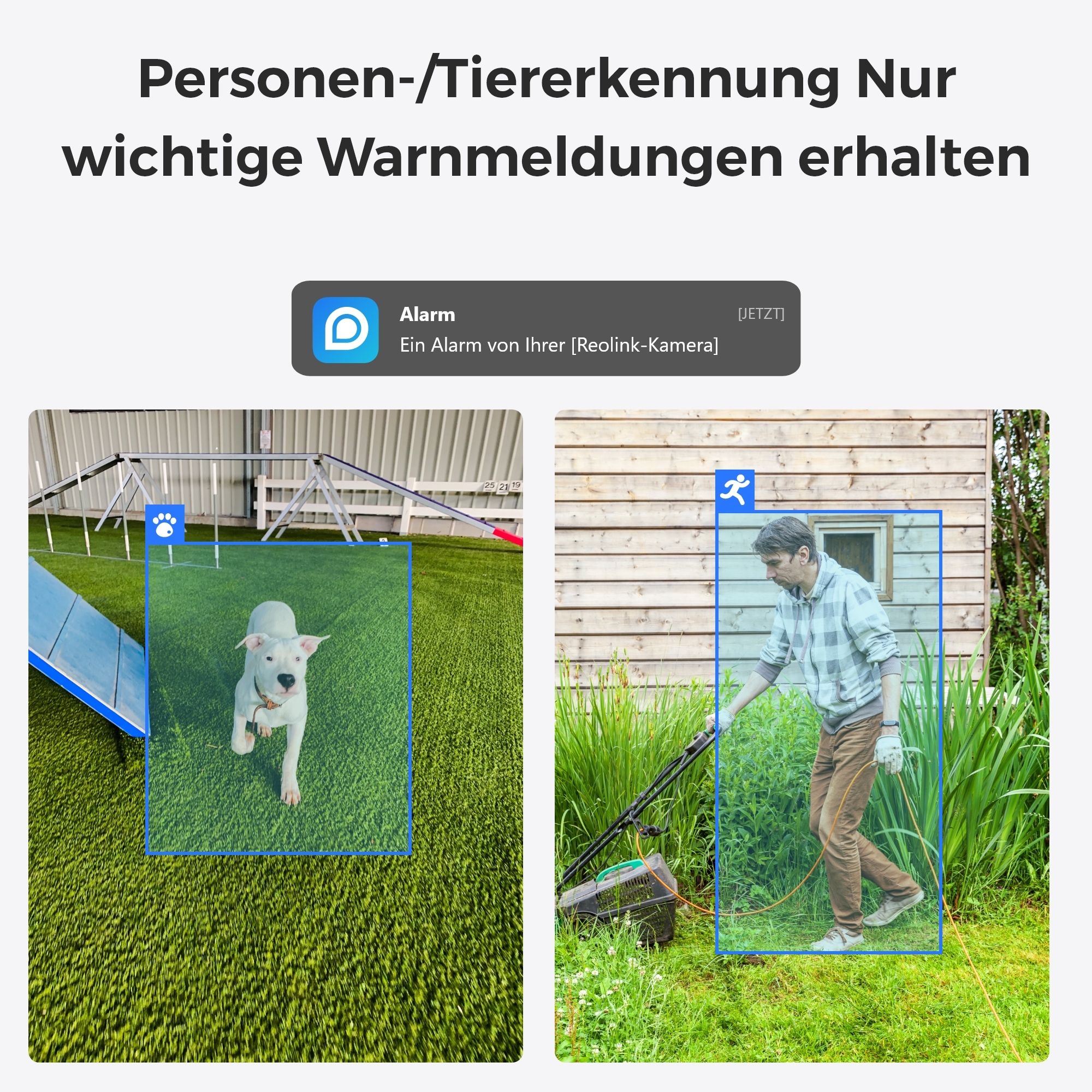 Reolink Überwachungskamera »E Series E340«, Innenbereich, Pan&Tilt, Dualband-WiFi, 5MP