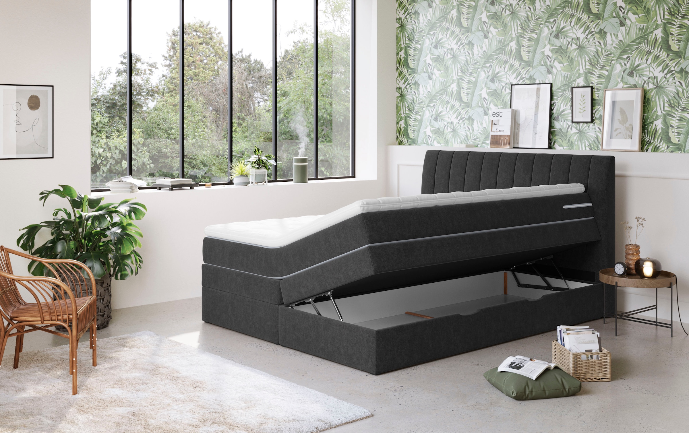 COTTA Boxspringbett »Shark inkl. Bettkasten und Topper«, erhältlich in den Breiten 140x200cm, 160x200cm und 180x200cm