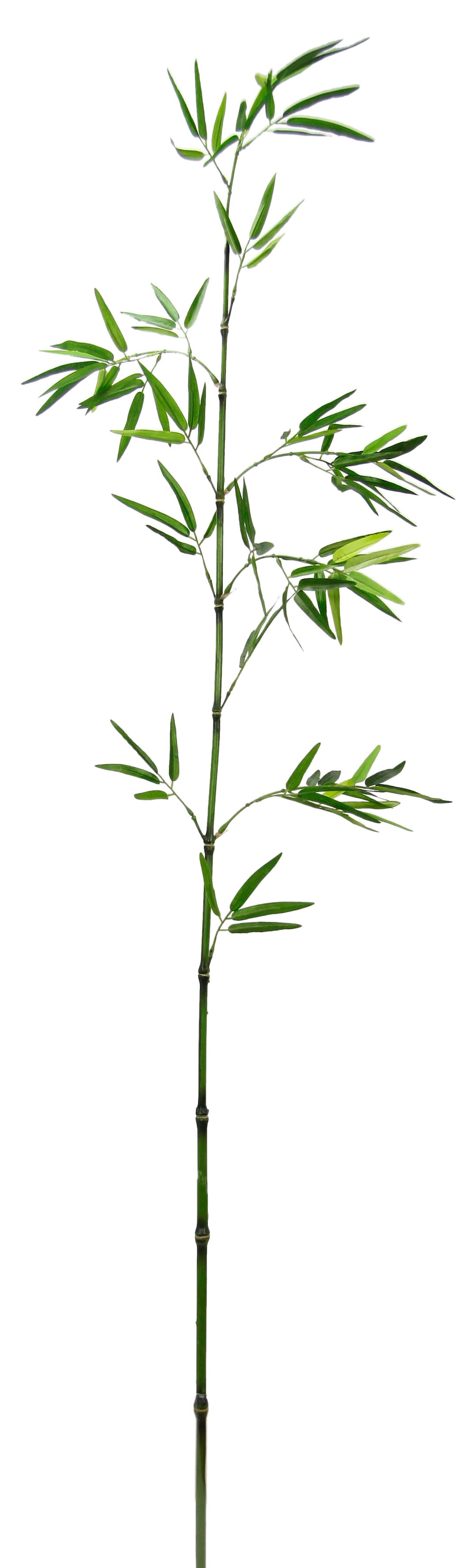 I.GE.A. Kunstpflanze »Bambuszweig«, Dekozweig, groß 3er Set auf Rechnung  bestellen