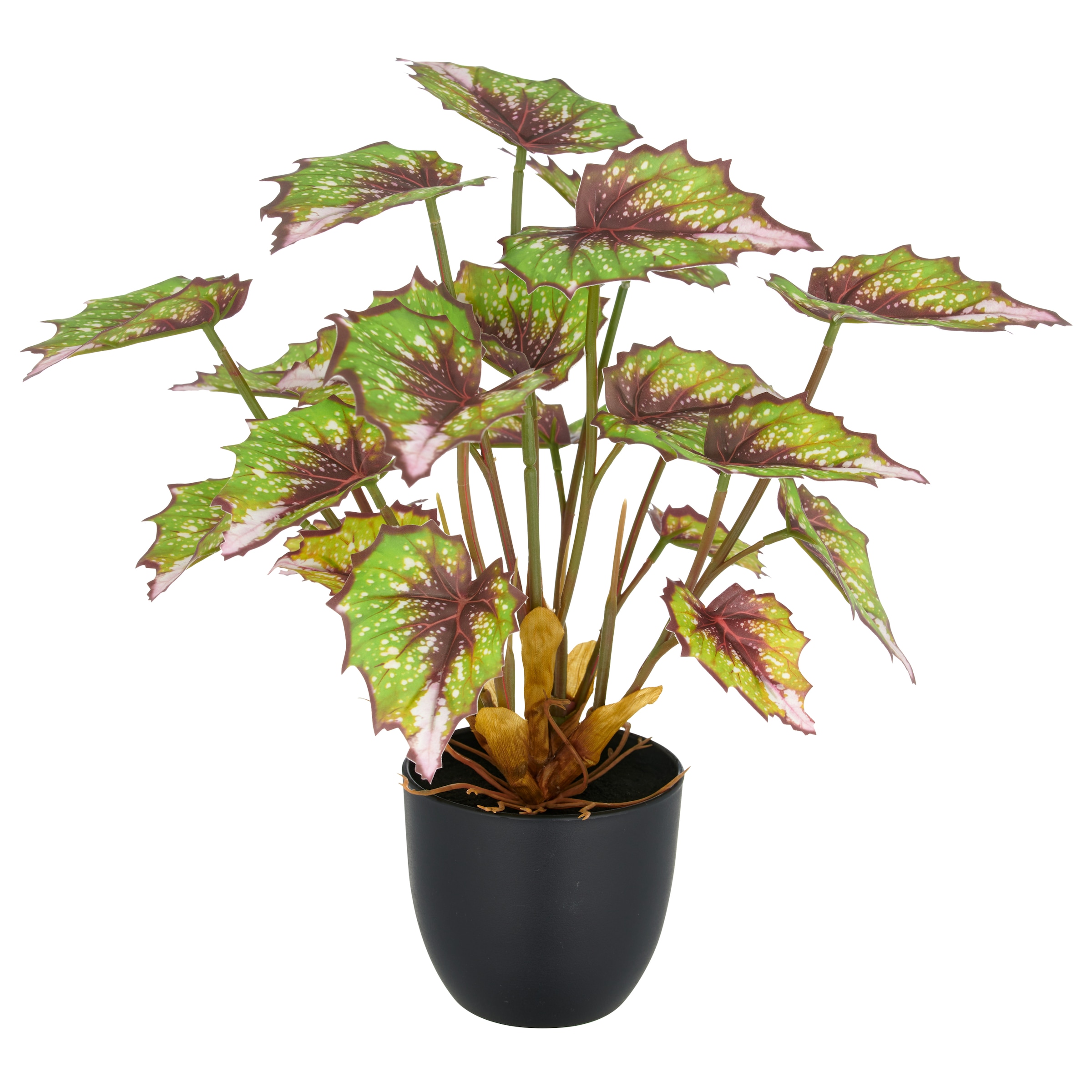 Creativ green Kunstpflanze »Begonia rex« mit außergewöhnlicher Blattzeichnung