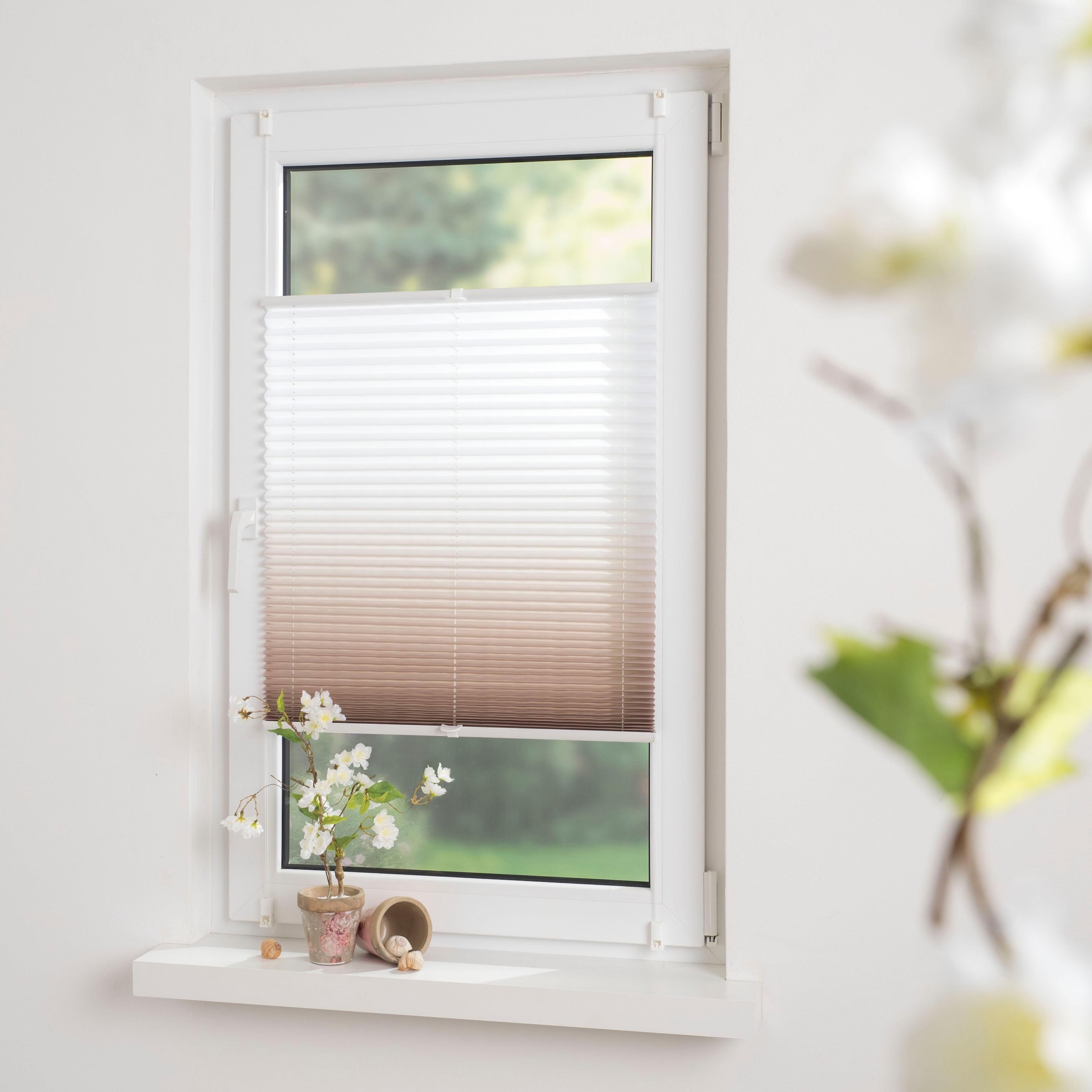 Liedeco Plissee »Farbverlauf« Lichtschutz ohne Bohren verspannt