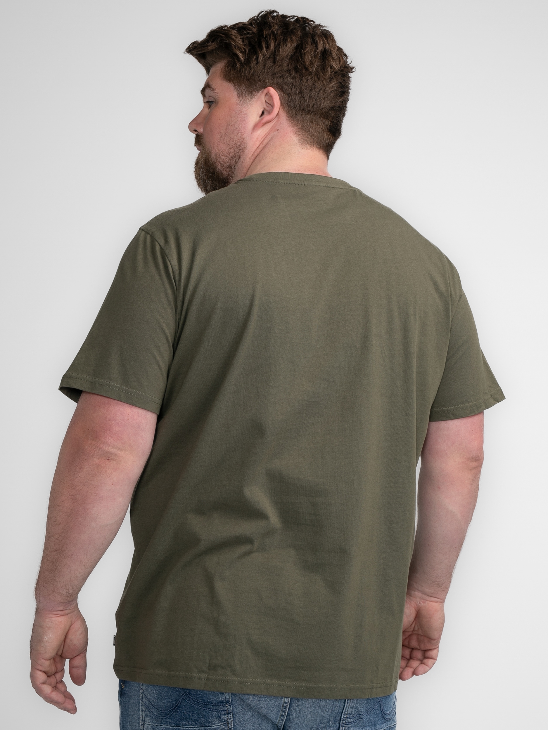 Petrol Industries Print-Shirt »Men T-Shirt SS Classic Print«