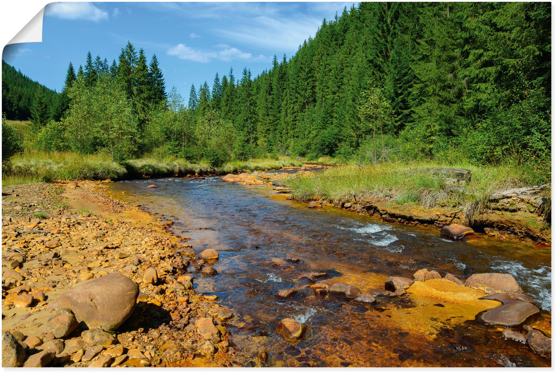 Wandbild »Fluss Neagra, Caliman-Nationalpark«, Gewässer, (1 St.), als Alubild,...