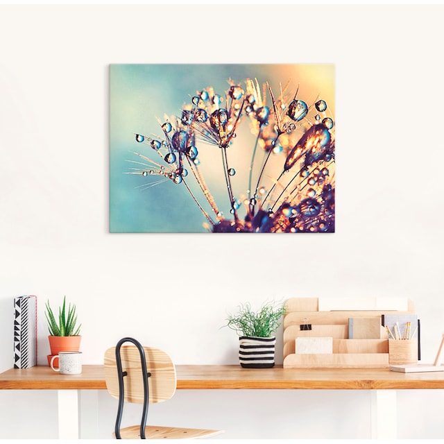Artland Wandbild »Pusteblume Glitzertau«, Blumen, (1 St.), als  Leinwandbild, Wandaufkleber oder Poster in versch. Größen auf Rechnung  bestellen