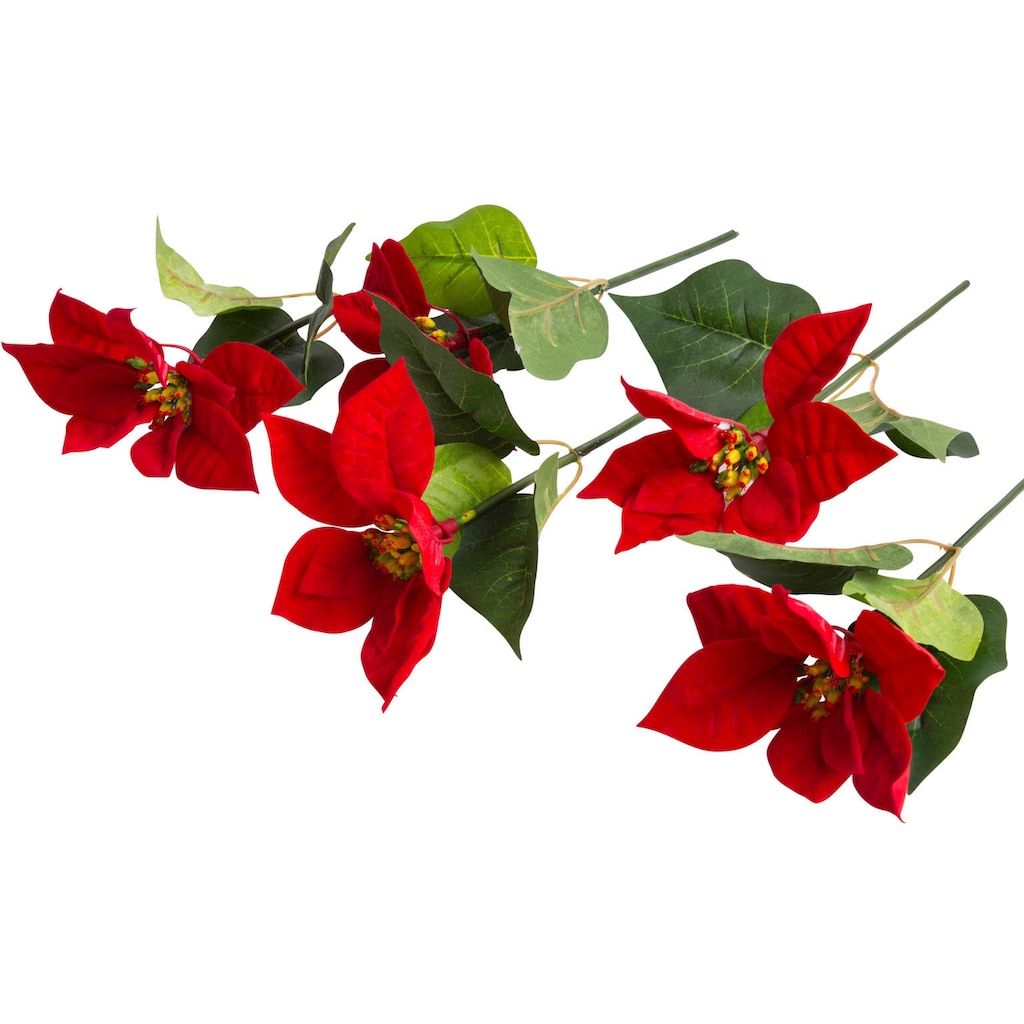 Botanic-Haus Kunstblume »Edel-Poinsettienpick«